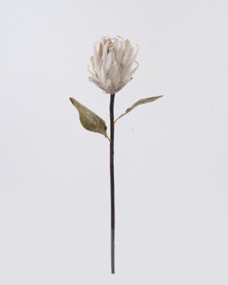 Artificial Flower 14*11*55cm Protea cynaroides single stem GS-35126035-W1 2026Oct 3,000+ sqm showroom with thousands of artificial flowers, plants & trees ready for global sourcing. Artificial Flower 14*11*55cm Protea cynaroides single stem GS-35126035-W1 2026Oct 3,000+ sqm showroom with thousands of artificial flowers, plants & trees ready for global sourcing.