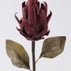 Artificial Flower 14*11*55cm Protea cynaroides single stem GS-35126035 2026Oct 3,000+ sqm showroom with thousands of artificial flowers, plants & trees ready for global sourcing.