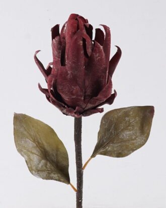 Artificial Flower 14*11*55cm Protea cynaroides single stem GS-35126035 2026Oct 3,000+ sqm showroom with thousands of artificial flowers, plants & trees ready for global sourcing. Artificial Flower 14*11*55cm Protea cynaroides single stem GS-35126035 2026Oct 3,000+ sqm showroom with thousands of artificial flowers, plants & trees ready for global sourcing.