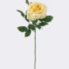 Artificial Flower Rose single stem GS-57926031-Y2 Artificial Flower 15*10*64cm Rose single stem GS-57926031-Y2 2026Oct 3,000+ sqm showroom with thousands of artificial flowers, plants & trees ready for global sourcing.