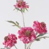 Artificial Flower 20*10*70cm Scabiosa Flower *4 single stem GS-39126032-R1 2026Oct 3,000+ sqm showroom with thousands of artificial flowers, plants & trees ready for global sourcing.