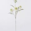 Artificial Flower Scabiosa Flower 4 single stem GS-39126032-W1_3 Artificial Flower 20*10*70cm Scabiosa Flower *4 single stem GS-39126032-W1 2026Oct 3,000+ sqm showroom with thousands of artificial flowers, plants & trees ready for global sourcing.