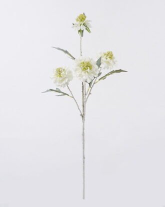 Artificial Flower 20*10*70cm Scabiosa Flower *4 single stem GS-39126032-W1 2026Oct 3,000+ sqm showroom with thousands of artificial flowers, plants & trees ready for global sourcing. Artificial Flower 20*10*70cm Scabiosa Flower *4 single stem GS-39126032-W1 2026Oct 3,000+ sqm showroom with thousands of artificial flowers, plants & trees ready for global sourcing.