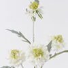Artificial Flower Scabiosa Flower 4 single stem GS-39126032-W1_5 Artificial Flower 20*10*70cm Scabiosa Flower *4 single stem GS-39126032-W1 2026Oct 3,000+ sqm showroom with thousands of artificial flowers, plants & trees ready for global sourcing.
