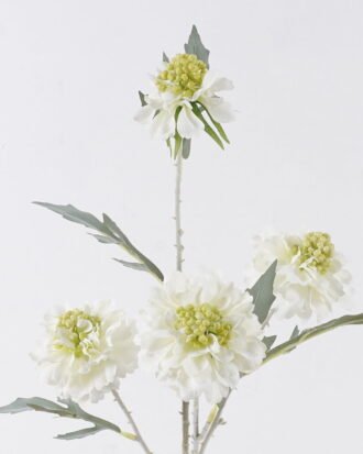 Artificial Flower 20*10*70cm Scabiosa Flower *4 single stem GS-39126032-W1 2026Oct 3,000+ sqm showroom with thousands of artificial flowers, plants & trees ready for global sourcing. Artificial Flower 20*10*70cm Scabiosa Flower *4 single stem GS-39126032-W1 2026Oct 3,000+ sqm showroom with thousands of artificial flowers, plants & trees ready for global sourcing.