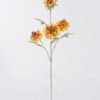 Artificial Flower Scabiosa Flower 4 single stem GS-39126032_3 Artificial Flower 20*10*70cm Scabiosa Flower *4 single stem GS-39126032 2026Oct 3,000+ sqm showroom with thousands of artificial flowers, plants & trees ready for global sourcing.