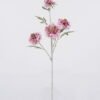 Artificial Flower Scabiosa Flower 4 single stem GS-39126032_4 Artificial Flower 20*10*70cm Scabiosa Flower *4 single stem GS-39126032 2026Oct 3,000+ sqm showroom with thousands of artificial flowers, plants & trees ready for global sourcing.