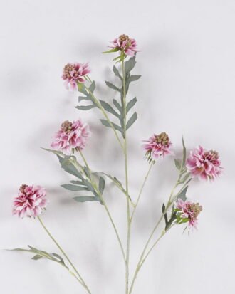 Artificial Flower 25*12*113cm Scabiosa Flower *7 single stem GS-39126031-P1 2026Oct 3,000+ sqm showroom with thousands of artificial flowers, plants & trees ready for global sourcing. Artificial Flower 25*12*113cm Scabiosa Flower *7 single stem GS-39126031-P1 2026Oct 3,000+ sqm showroom with thousands of artificial flowers, plants & trees ready for global sourcing.