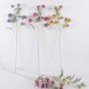 Artificial Flower Scabiosa Flower 7 single stem GS-39126031_1 Artificial Flower 25*12*113cm Scabiosa Flower *7 single stem GS-39126031 2026Oct 3,000+ sqm showroom with thousands of artificial flowers, plants & trees ready for global sourcing.