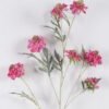 Artificial Flower Scabiosa Flower 7 single stem GS-39126031_2 Artificial Flower 25*12*113cm Scabiosa Flower *7 single stem GS-39126031 2026Oct 3,000+ sqm showroom with thousands of artificial flowers, plants & trees ready for global sourcing.
