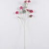 Artificial Flower Scabiosa Flower 7 single stem GS-39126031_3 Artificial Flower 25*12*113cm Scabiosa Flower *7 single stem GS-39126031 2026Oct 3,000+ sqm showroom with thousands of artificial flowers, plants & trees ready for global sourcing.