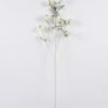 Artificial Flower Scabiosa Flower 7 single stem GS-39126031_5 Artificial Flower 25*12*113cm Scabiosa Flower *7 single stem GS-39126031 2026Oct 3,000+ sqm showroom with thousands of artificial flowers, plants & trees ready for global sourcing.