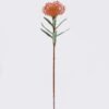 Artificial Flower Singel Leucospermum GS-39120002R-R1_4 Artificial Flower 11*56CM Singel Leucospermum GS-39120002R-R1 2026Oct 3,000+ sqm showroom with thousands of artificial flowers, plants & trees ready for global sourcing.