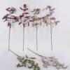 Artificial Flower Tamarix chinensis single stem GS-35126027_1 Artificial Flower 32*5*92cm Tamarix chinensis single stem GS-35126027 2026Oct 3,000+ sqm showroom with thousands of artificial flowers, plants & trees ready for global sourcing.