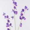 Artificial Flower The Pea Blossom 3 single stem GS-53626001-Z1_1 Artificial Flower 17*8*112cm The Pea Blossom *3 single stem GS-53626001-Z1 2026Oct 3,000+ sqm showroom with thousands of artificial flowers, plants & trees ready for global sourcing.