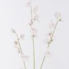 Artificial Flower 17*8*112cm The Pea Blossom *3 single stem GS-53626001 2026Oct 3,000+ sqm showroom with thousands of artificial flowers, plants & trees ready for global sourcing.