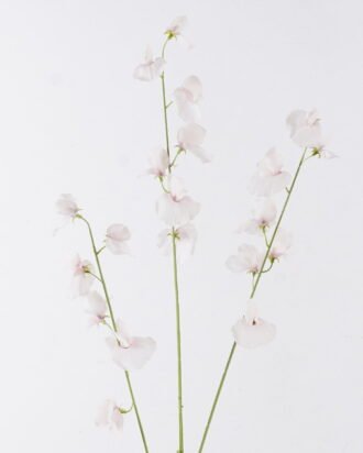 Artificial Flower 17*8*112cm The Pea Blossom *3 single stem GS-53626001 2026Oct 3,000+ sqm showroom with thousands of artificial flowers, plants & trees ready for global sourcing. Artificial Flower 17*8*112cm The Pea Blossom *3 single stem GS-53626001 2026Oct 3,000+ sqm showroom with thousands of artificial flowers, plants & trees ready for global sourcing.