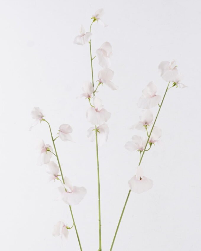Artificial Flower 17*8*112cm The Pea Blossom *3 single stem GS-53626001 2026Oct 3,000+ sqm showroom with thousands of artificial flowers, plants & trees ready for global sourcing.