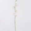 Artificial Flower The Pea Blossom single stem GS-53626002-P1_1 Artificial Flower 10*5*65cm The Pea Blossom single stem GS-53626002-P1 2026Oct 3,000+ sqm showroom with thousands of artificial flowers, plants & trees ready for global sourcing.