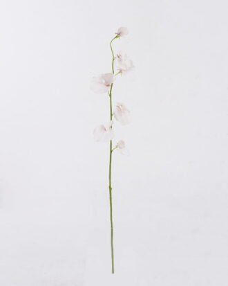 Artificial Flower 10*5*65cm The Pea Blossom single stem GS-53626002-P1 2026Oct 3,000+ sqm showroom with thousands of artificial flowers, plants & trees ready for global sourcing. Artificial Flower 10*5*65cm The Pea Blossom single stem GS-53626002-P1 2026Oct 3,000+ sqm showroom with thousands of artificial flowers, plants & trees ready for global sourcing.