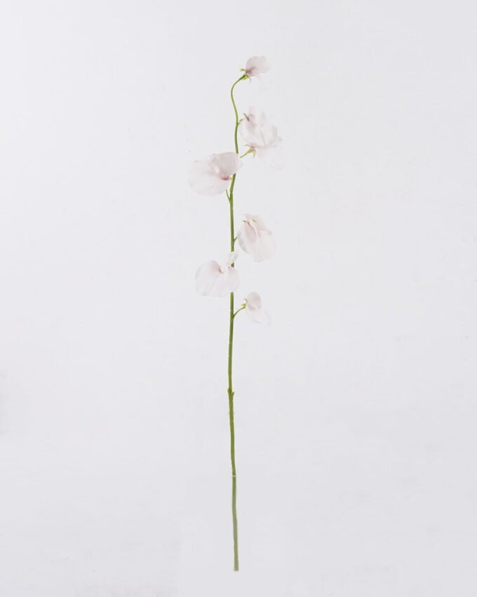 Artificial Flower 10*5*65cm The Pea Blossom single stem GS-53626002-P1 2026Oct 3,000+ sqm showroom with thousands of artificial flowers, plants & trees ready for global sourcing.