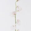 Artificial Flower The Pea Blossom single stem GS-53626002-P1_5 Artificial Flower 10*5*65cm The Pea Blossom single stem GS-53626002-P1 2026Oct 3,000+ sqm showroom with thousands of artificial flowers, plants & trees ready for global sourcing.