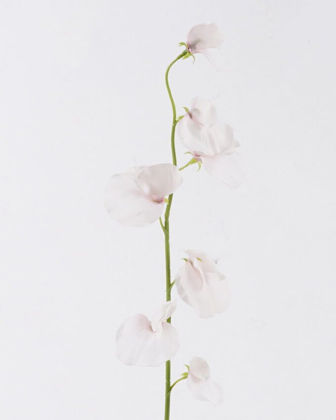 Artificial Flower 10*5*65cm The Pea Blossom single stem GS-53626002-P1 2026Oct 3,000+ sqm showroom with thousands of artificial flowers, plants & trees ready for global sourcing.