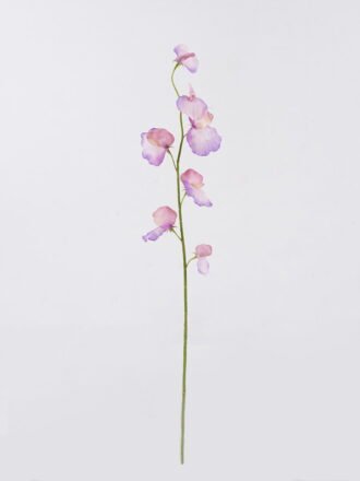 Dried Flowers 8*8*16.5cm  Natural dried plants in glass bottle GS-56626104 2026Oct 3,000+ sqm showroom with thousands of artificial flowers, plants & trees ready for global sourcing.