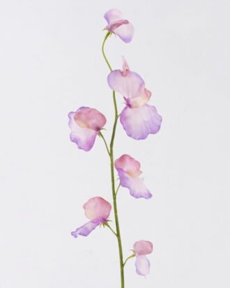 Artificial Flower 10*5*65cm The Pea Blossom single stem GS-53626002-Z2 2026Oct 3,000+ sqm showroom with thousands of artificial flowers, plants & trees ready for global sourcing. Artificial Flower 10*5*65cm The Pea Blossom single stem GS-53626002-Z2 2026Oct 3,000+ sqm showroom with thousands of artificial flowers, plants & trees ready for global sourcing.
