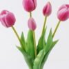 Artificial Flower Tulip 5 bundle GS-24523006-P2_1 Artificial Flower 16*16*38cm Tulip *5 bundle GS-24523006-P2 2026Oct 3,000+ sqm showroom with thousands of artificial flowers, plants & trees ready for global sourcing.
