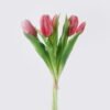Artificial Flower 12*5*31cm Tulip *5 bundle GS-24526001-R2 2026Oct 3,000+ sqm showroom with thousands of artificial flowers, plants & trees ready for global sourcing.