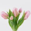 Artificial Flower Tulip 5 bundle GS-24526001_2 Artificial Flower 12*5*31cm Tulip *5 bundle GS-24526001 2026Oct 3,000+ sqm showroom with thousands of artificial flowers, plants & trees ready for global sourcing.