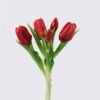 Artificial Flower Tulip 5 bundle GS-24526001_6 Artificial Flower 12*5*31cm Tulip *5 bundle GS-24526001 2026Oct 3,000+ sqm showroom with thousands of artificial flowers, plants & trees ready for global sourcing.
