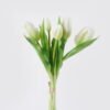 Artificial Flower Tulip 5 bundle GS-24526001_7 Artificial Flower 12*5*31cm Tulip *5 bundle GS-24526001 2026Oct 3,000+ sqm showroom with thousands of artificial flowers, plants & trees ready for global sourcing.