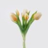 Artificial Flower Tulip 5 bundle GS-24526004-C1 Artificial Flower 16*5*31cm Tulip *5 bundle GS-24526004-C1 2026Oct 3,000+ sqm showroom with thousands of artificial flowers, plants & trees ready for global sourcing.