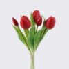 Artificial Flower Tulip 5 bundle GS-24526004_5 Artificial Flower 16*5*31cm Tulip *5 bundle GS-24526004 2026Oct 3,000+ sqm showroom with thousands of artificial flowers, plants & trees ready for global sourcing.