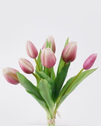 Artificial Flower 13*6*31cm Tulip *7 bundle GS-24526009-R1 2026Oct 3,000+ sqm showroom with thousands of artificial flowers, plants & trees ready for global sourcing. Artificial Flower 13*6*31cm Tulip *7 bundle GS-24526009-R1 2026Oct 3,000+ sqm showroom with thousands of artificial flowers, plants & trees ready for global sourcing.