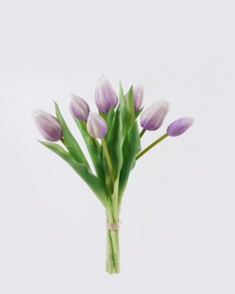 Artificial Flower 13*6*31cm Tulip *7 bundle GS-24526009-Z2 2026Oct 3,000+ sqm showroom with thousands of artificial flowers, plants & trees ready for global sourcing. Artificial Flower 13*6*31cm Tulip *7 bundle GS-24526009-Z2 2026Oct 3,000+ sqm showroom with thousands of artificial flowers, plants & trees ready for global sourcing.