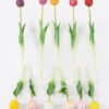 Artificial Flower Tulip single stem GS-24526002_1 Artificial Flower 8*3*46cm Tulip single stem GS-24526002 2026Oct 3,000+ sqm showroom with thousands of artificial flowers, plants & trees ready for global sourcing.