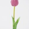 Artificial Flower Tulip single stem GS-24526002_2 Artificial Flower 8*3*46cm Tulip single stem GS-24526002 2026Oct 3,000+ sqm showroom with thousands of artificial flowers, plants & trees ready for global sourcing.