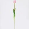 Artificial Flower Tulip single stem GS-24526002_6 Artificial Flower 8*3*46cm Tulip single stem GS-24526002 2026Oct 3,000+ sqm showroom with thousands of artificial flowers, plants & trees ready for global sourcing.