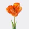 Artificial Flower Tulip single stem GS-24526005-O1_1 Artificial Flower 8*5*47cm Tulip single stem GS-24526005-O1 2026Oct 3,000+ sqm showroom with thousands of artificial flowers, plants & trees ready for global sourcing.