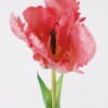Artificial Flower Tulip single stem GS-24526005-R1_4 Artificial Flower 8*5*47cm Tulip single stem GS-24526005-R1 2026Oct 3,000+ sqm showroom with thousands of artificial flowers, plants & trees ready for global sourcing.