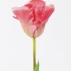 Artificial Flower Tulip single stem GS-24526005-R1_5 Artificial Flower 8*5*47cm Tulip single stem GS-24526005-R1 2026Oct 3,000+ sqm showroom with thousands of artificial flowers, plants & trees ready for global sourcing.