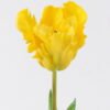 Artificial Flower Tulip single stem GS-24526005-Y1_1 Artificial Flower 8*5*47cm Tulip single stem GS-24526005-Y1 2026Oct 3,000+ sqm showroom with thousands of artificial flowers, plants & trees ready for global sourcing.