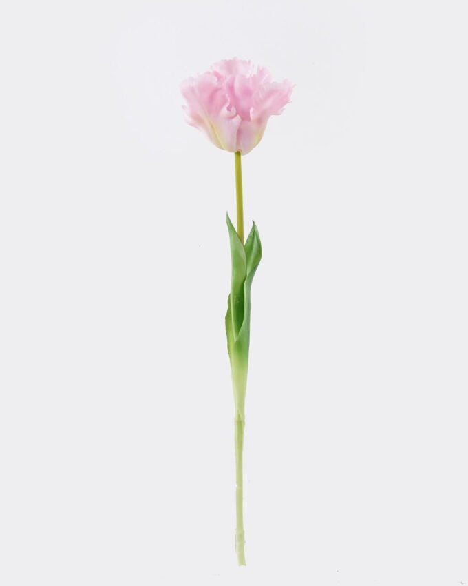 Artificial Flower Tulip single stem GS-24526005_6 Artificial Flower 8*5*47cm Tulip single stem GS-24526005 2026Oct 3,000+ sqm showroom with thousands of artificial flowers, plants & trees ready for global sourcing.
