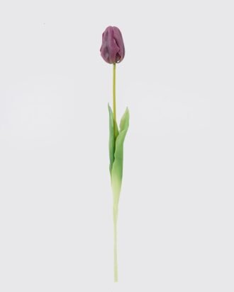 Artificial Flower 3*2*48cm Tulip single stem GS-24526011-Z1 2026Oct 3,000+ sqm showroom with thousands of artificial flowers, plants & trees ready for global sourcing. Artificial Flower 3*2*48cm Tulip single stem GS-24526011-Z1 2026Oct 3,000+ sqm showroom with thousands of artificial flowers, plants & trees ready for global sourcing.