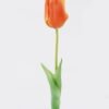 Artificial Flower Tulip single stem GS-24526011_2 Artificial Flower 3*2*48cm Tulip single stem GS-24526011 2026Oct 3,000+ sqm showroom with thousands of artificial flowers, plants & trees ready for global sourcing.