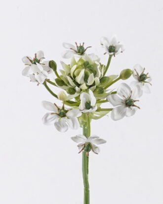 Artificial Flower 13*13*72cm Velvet single stem GS-30326005 2026Oct 3,000+ sqm showroom with thousands of artificial flowers, plants & trees ready for global sourcing. Artificial Flower 13*13*72cm Velvet single stem GS-30326005 2026Oct 3,000+ sqm showroom with thousands of artificial flowers, plants & trees ready for global sourcing.