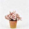Artificial Flower 20*20*21cm Wild flower in Paper pulp pot GS-03326133-P1 2026SEP 3,000+ sqm showroom with thousands of artificial flowers, plants & trees ready for global sourcing.